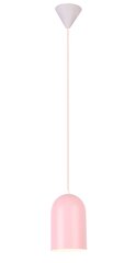 Светильник Ledea Oss Pink цена и информация | Потолочный светильник, 38 x 38 x 24 см | hansapost.ee
