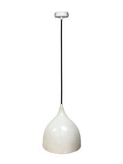 Ledea подвесной светильник Ystad цена и информация | Потолочный светильник, 38 x 38 x 24 см | hansapost.ee