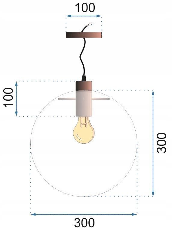 Rippvalgusti Lassi, 30 cm, Rose gold цена и информация | Rippvalgustid | hansapost.ee