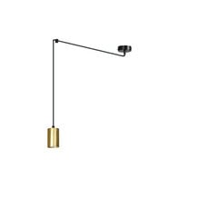 Emibig подвесной светильник Traker 1 BL/Gold цена и информация | Потолочный светильник, 38 x 38 x 24 см | hansapost.ee