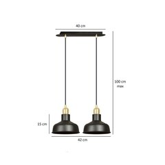 Emibig подвесной светильник Ibor 2 Black цена и информация | Люстры | hansapost.ee