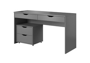 Письменный стол Laski Meble Mati, серый цена и информация | Laski Meble Мебель и домашний интерьер | hansapost.ee