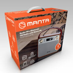 Manta RDI915X цена и информация | Радиоприёмники | hansapost.ee