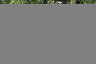 Искусственная Рождественская ёлка Titus 1,80 м цена и информация | Новогодние елки | hansapost.ee