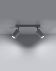 SOLLUX потолочный светильник Ring 2 White цена и информация | Потолочные светильники | hansapost.ee