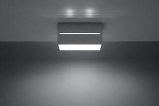 Sollux светильник Lobo Maxi, grey цена и информация | Потолочные светильники | hansapost.ee