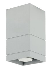 Lampex светильник Neron B цена и информация | Потолочные светильники | hansapost.ee