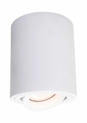 Light Prestige потолочный светильник Kendal цена и информация | Потолочные светильники | hansapost.ee