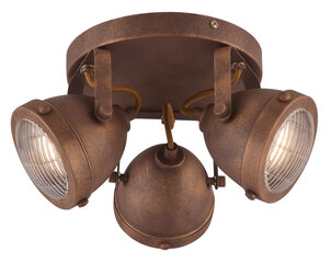 Candellux потолочный светильник Frodo цена и информация | Потолочные светильники | hansapost.ee
