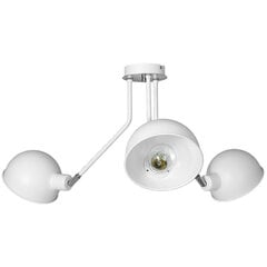 Luminex потолочный светильник Devin цена и информация | Потолочные светильники | hansapost.ee