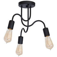 Luminex подвесной светильник Dow цена и информация | Потолочный светильник, 38 x 38 x 24 см | hansapost.ee