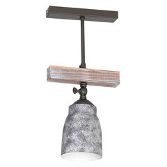 Luminex светильник Agap цена и информация | Потолочный светильник, 38 x 38 x 24 см | hansapost.ee