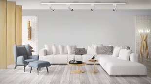 Light Prestige потолочный светильник Leon Set White цена и информация | Потолочные светильники | hansapost.ee