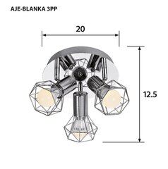 Activejet потолочный светильник AJE-Blanka 3PP цена и информация | Activejet Освещение | hansapost.ee