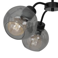 Потолочный светильник SOFIA SMOKED 3xE27 цена и информация | Потолочные светильники | hansapost.ee