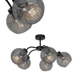 Потолочный светильник SOFIA SMOKED 3xE27 цена и информация | Потолочные светильники | hansapost.ee