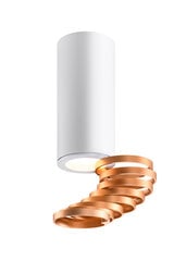 Candellux потолочный светильник Tuba цена и информация | Потолочные светильники | hansapost.ee