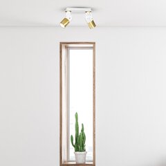 Milagro laevalgusti Wilson White price and information | Ceiling lamps | hansapost.ee