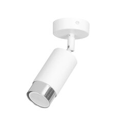 Emibig потолочный светильник Hiro 1 White-Chrome цена и информация | Потолочные светильники | hansapost.ee