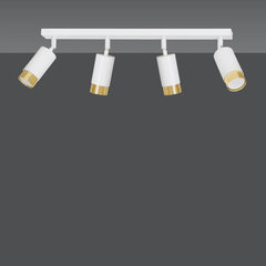 Emibig потолочный светильник Hiro 4 White-Gold цена и информация | Потолочные светильники | hansapost.ee