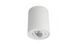 Azzardo потолочный светильник Bross 1 White цена и информация | Потолочные светильники | hansapost.ee