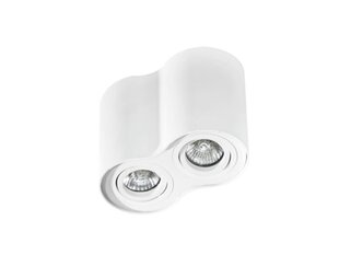 Azzardo потолочный светильник Bross 2 White цена и информация | Потолочные светильники | hansapost.ee