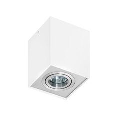 Azzardo потолочный светильник Eloy 1 White/Silver цена и информация | Потолочные светильники | hansapost.ee