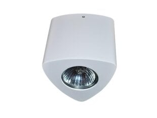 Azzardo потолочный светильник Dario White цена и информация | Потолочные светильники | hansapost.ee