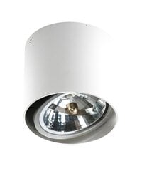 Azzardo светильник Alix AZ1356 цена и информация | Потолочные светильники | hansapost.ee