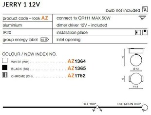 Azzardo laevalgusti Jerry 1 12 V AZ1364 price and information | Ceiling lamps | hansapost.ee