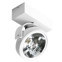 Azzardo laevalgusti Jerry 1 12 V AZ1364 price and information | Ceiling lamps | hansapost.ee