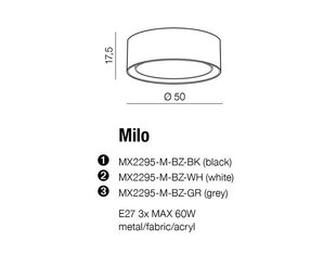Azzardo потолочный светильник Milo AZ2318 цена и информация | Потолочные светильники | hansapost.ee