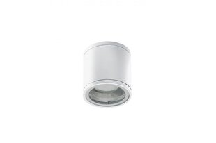 Azzardo потолочный светильник Joe Tube White AZ3315 цена и информация | Потолочные светильники | hansapost.ee