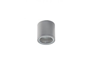 Azzardo потолочный светильник Joe Tube Bright Grey AZ3316 цена и информация | Потолочные светильники | hansapost.ee