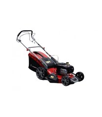 Бензиновая газонокосилка Tamerpro 150 куб.см с двигателем BRIGGS - STRATTON цена и информация | Газонокосилки | hansapost.ee