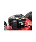 Bensiiniga muruniiduk Tamerpro 150 cc BRIGGS - STRATTON цена и информация | Muruniidukid | hansapost.ee