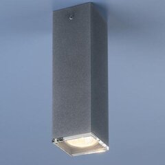 Nowodvorski Lighting потолочный светильник Bryce Concrete S 5718 цена и информация | Nowodvorski Lighting Мебель и домашний интерьер | hansapost.ee