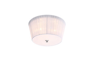 Candellux lighting светильник Camea 98-56245 цена и информация | Потолочные светильники | hansapost.ee