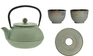 Японская чугунная чашка, чайник и поднос цена и информация | Стаканы, фужеры, кувшины | hansapost.ee