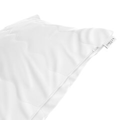 AmeliaHome подушка Reve, 60x80 см, 2 шт. цена и информация | Подушечки | hansapost.ee