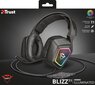 Trust GXT 450 Blizz RGB 23191 цена и информация | Kõrvaklapid | hansapost.ee