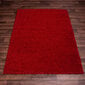 Vaip Shaggy Red 80x150 cm цена и информация | Vaibad | hansapost.ee