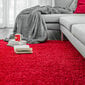 Vaip Shaggy Red 80x150 cm цена и информация | Vaibad | hansapost.ee