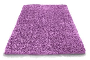 Vaip Shaggy Lavender, 160x220 cm hind ja info | Vaibad | hansapost.ee