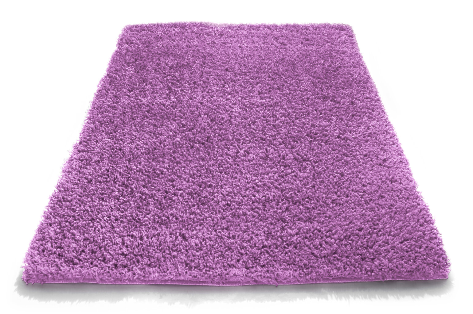 Vaip Shaggy Lavender, 160x220 cm price and information | Vaibad | hansapost.ee