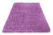Vaip Shaggy Lavender, 160x220 cm цена и информация | Vaibad | hansapost.ee