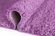 Vaip Shaggy Lavender, 160x220 cm цена и информация | Vaibad | hansapost.ee