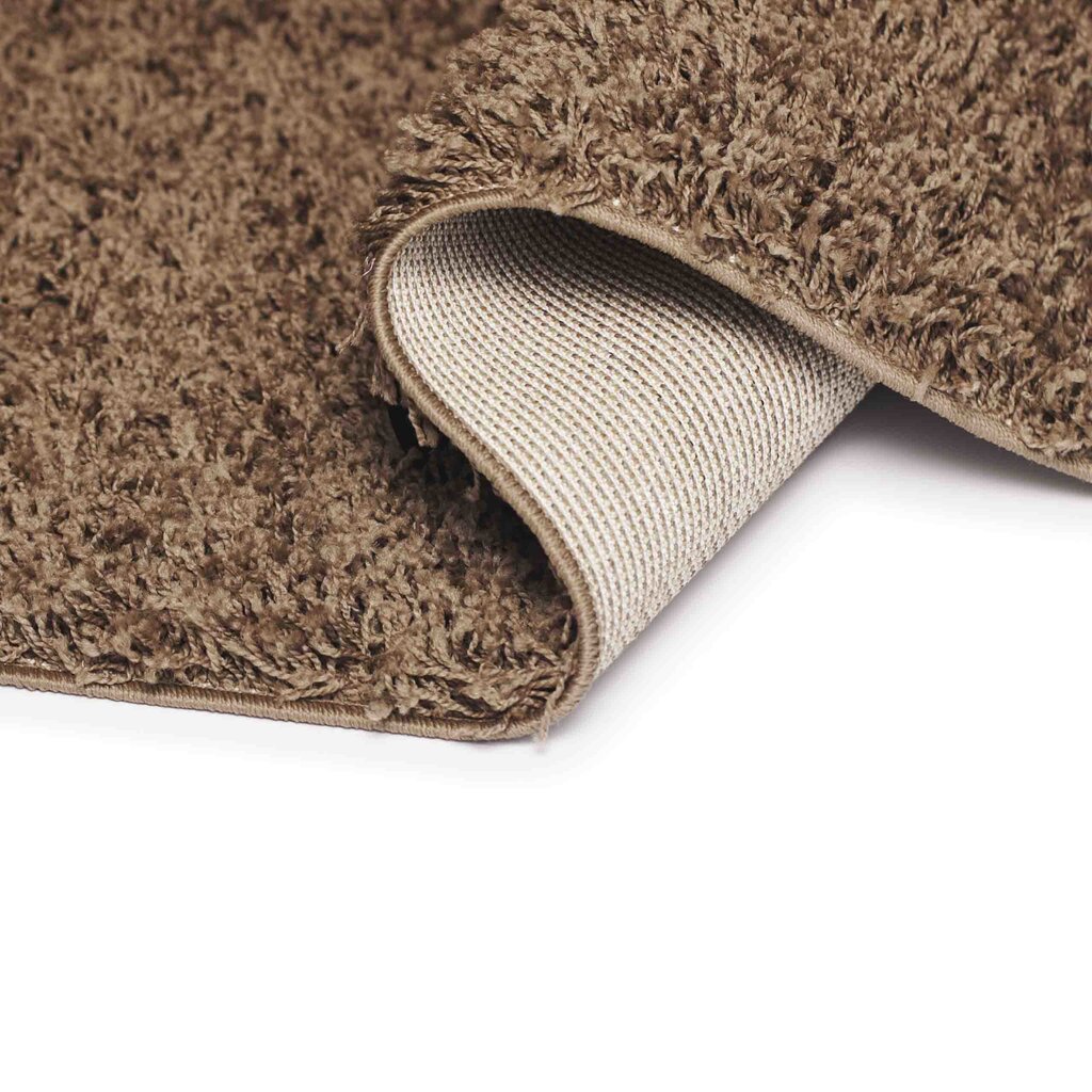 Vaip Shaggy Light Cappucino, 40x60 cm hind ja info | Vaibad | hansapost.ee