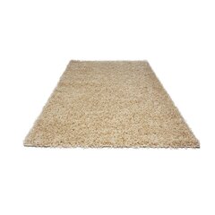 Vaip Shaggy Light Sand, 40x60 cm hind ja info | Vaibad | hansapost.ee