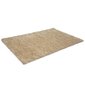 Vaip Shaggy Light Sand, 40x60 cm цена и информация | Vaibad | hansapost.ee